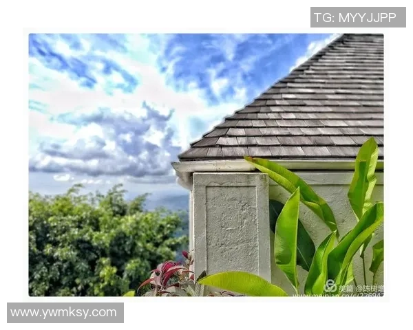 巴拿马足球球星意大利之路从中美洲绿茵到欧洲豪门的荣耀征程