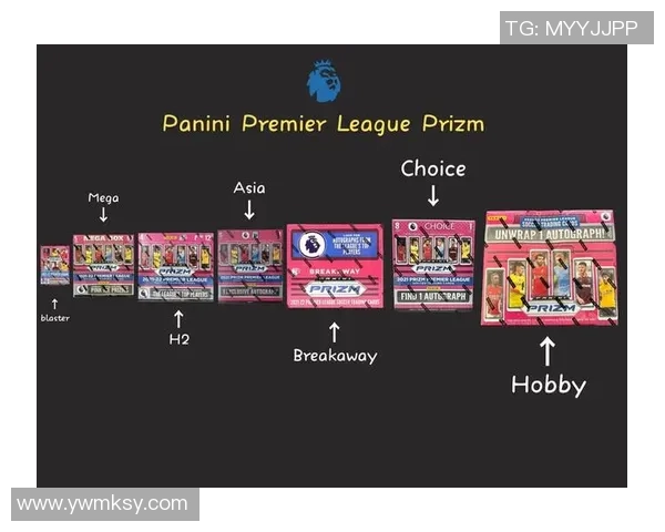 2024年足球帕尼尼球星卡市场价格走势及热门卡片分析